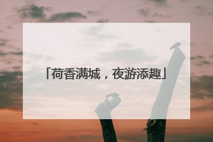 荷香满城，夜游添趣